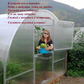 Дачный фестиваль Сота-2022